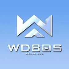 WDBOS - Petualangan Epic dalam Dunia ARPG